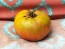 Tomato 'Sara Black' Seeds (Certified Organic)