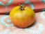 Tomato 'Sara Black' Seeds (Certified Organic)