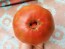 Tomato 'Sara Black' Seeds (Certified Organic)