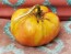 Tomato 'Flathead Monster Pink' Seeds (Certified Organic)