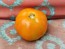 Tomato '3rd' Seeds (Certified Organic)