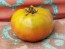 Tomato 'Sara Black' 