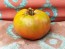 Tomato 'Sara Black' Seeds (Certified Organic)