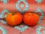 Tomato '3rd' Seeds (Certified Organic)