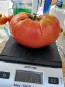 Tomato 'Monk'