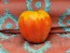 Tomato 'German Red Strawberry'