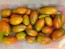 Tomato 'Black Icicle' Seeds (Certified Organic) 