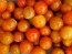 Tomato 'Flavor Bomb' Seeds