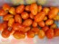 Tomato 'Chico III' Seeds (Certified Organic) 