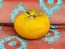 Tomato 'Marzipan Gold' Seeds (Certified Organic)