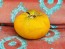 Tomato 'Marzipan Gold' Seeds (Certified Organic)