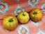 Tomato 'Everett's Rusty Brown' Seeds (Certified Organic)