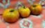 Tomato 'Everett's Rusty' Seeds (Certified Organic)