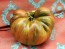 Tomato 'Blood Moon' Seeds (Certified Organic)