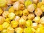 Peruvian Ground Cherry Seeds (Certified Organic)