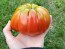 Tomato 'Red Mushroom Basket'