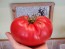 Tomato 'Behemoth King' Seeds (Certified Organic)