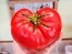 Tomato 'Behemoth King' Seeds (Certified Organic)