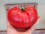 Tomato 'Behemoth King' Seeds (Certified Organic)