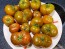 Tomato 'Spud Viper' Seeds (Certified Organic)