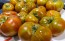 Tomato 'Spud Viper' Seeds (Certified Organic)