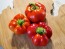 Hot Pepper ‘Hussli Tomato Pepper’ Seeds (Certified Organic)