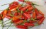 Hot Pepper 'Tabasco' Seeds (Certified Organic)