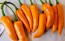 Hot Pepper ‘Orange Thai’ Seeds (Certified Organic)