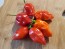 Hot Pepper ‘Red Glove Habanero’