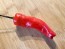 Hot Pepper ‘Tunisian Baklouti’ Seeds (Certified Organic)