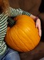 Pumpkin 'Wolf' Seeds (Certified Organic)