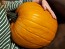 Pumpkin 'Wolf' Seeds (Certified Organic)