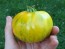 Tomato 'Lava Flow' Seeds (Certified Organic)