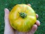 Tomato 'Lava Flow' Seeds (Certified Organic)