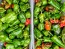 Mild Pepper 'Padron'