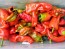 Hot Pepper ‘Hangjiao (HJ8) Total Eclipse Space Chili’ Seeds (Certified Organic)