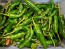 Hot Pepper ‘Tunisian Baklouti’ Seeds (Certified Organic)