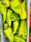 Hot Pepper ‘Beaver Dam’ Seeds (Certified Organic) 