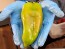 Hot Pepper ‘Beaver Dam’ Seeds (Certified Organic) 