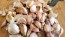  Certified Organic Bangkok Thai Fire Culinary Garlic Harvested on our Farm - 4 oz. Bag (FARM PICK-UP)