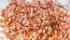 Globe Amaranth ‘Mandarin Orange’ Seeds (Certified Organic)