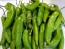 Hot Pepper ‘Aji Amarillo’ Seeds (Certified Organic)