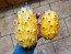 Jelly Melon (Kiwano) AKA African Horned Cucumber Seeds