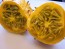 Jelly Melon (Kiwano) AKA African Horned Cucumber Seeds