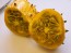 Jelly Melon (Kiwano) AKA African Horned Cucumber Seeds