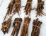 Burdock Seeds (Certified Organic)