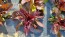 Lettuce 'Red Romaine' Seeds (Certified Organic)