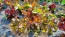 Lettuce 'Valentine Mix' Seeds (Certified Organic)