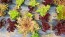 Lettuce 'Valentine Mix' Seeds (Certified Organic)