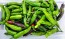 Mild Pepper 'Italian Pepperoncini' Seeds (Certified Organic)